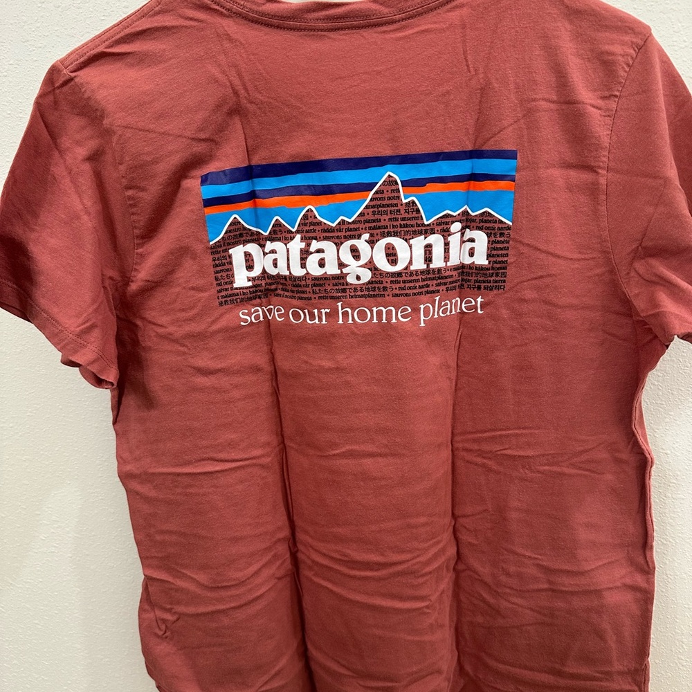 Patagonia Logo Cotton T-shirt